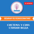 Система У-син: Стихия Воды в записи (ТОЛЬКО ДЛЯ ЧЛЕНОВ ОНЛАЙН КЛУБА И ПРЕПОДАВАТЕЛЕЙ)