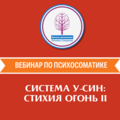 Система У-син: Стихия Огонь 2 (ТОЛЬКО ДЛЯ ЧЛЕНОВ ОНЛАЙН КЛУБА И ПРЕПОДАВАТЕЛЕЙ)